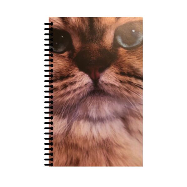 Caderno Gatinho