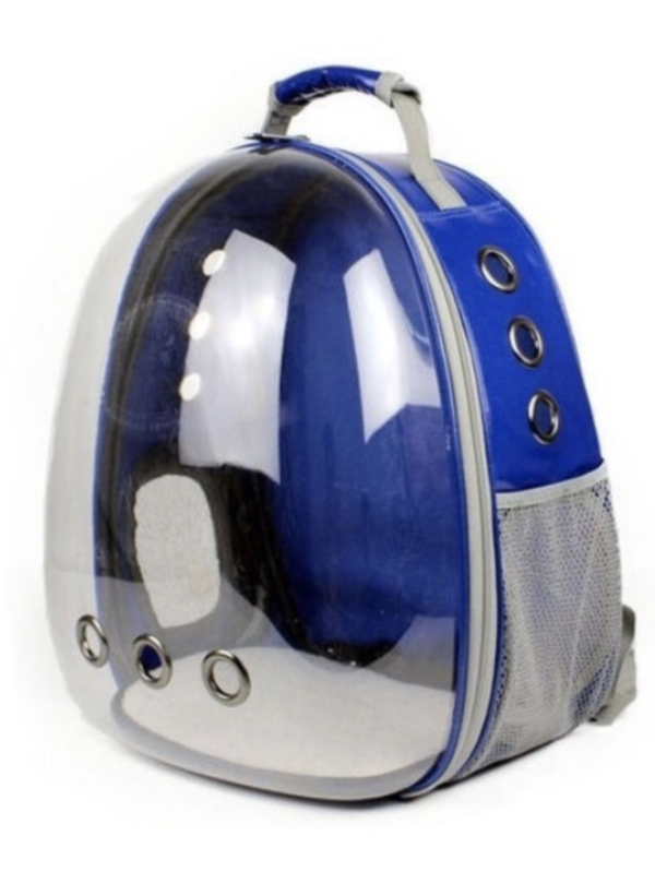 Mochila Pet (Transparente/Azul)